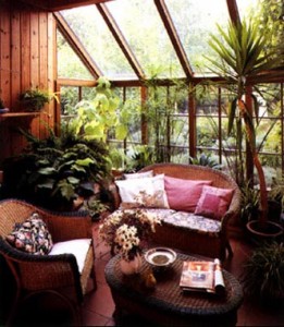 Phytodesign to Decorate your Interior Phytodesign to Decorate your Interior