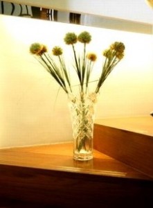 Taking care of polished and varnished furniture