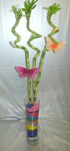 "Bamboo" as Decorative Item of the interior 