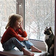 Modern Methods of Windows Insulation 