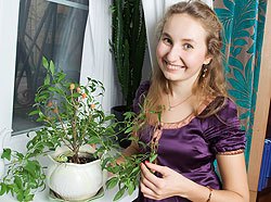 Decorate Your Home with Houseplants!
