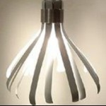 Magic Product: Flower Bulb Magic Product: Flower Bulb