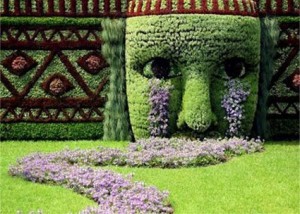 Types of Lawn for Outdoors Design