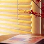 Fashionable Blinds for Any Interior