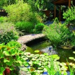 Original Decoration Of Landscape: Bridge In The Garden