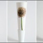 Fresh Flowers Project Itunube Studio Fresh Flowers Project Itunube Studio