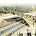 Bridge For Animals