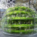 15 Minutes Of Beauty: Amaury Gallon Represent Ma Bulle, Ma Plante And Moi Installation