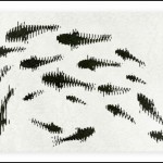 Carpet + Table = Unusual "Aquarium" Magic Carp-pet Carpet + Table = Unusual "Aquarium" Magic Carp-pet